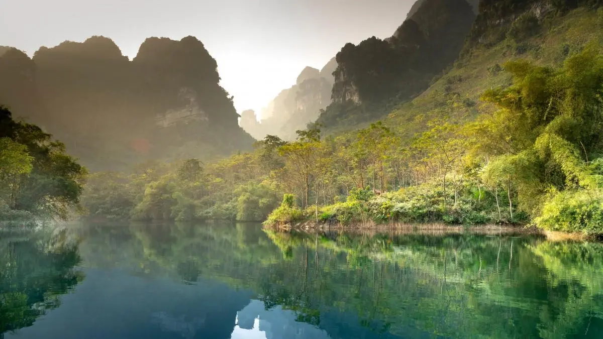 工业高标准